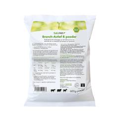 Saluvet BronchActive B Poeder 600gr (GMP+ FSA geborgd)