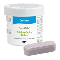 Saluvet CalciumQuick bolus (GMP + FSA geborgd)