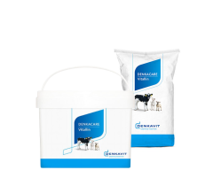 Denkacare Vitallin (GMP + FSA geborgd)