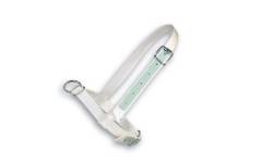 Halster koe wit 40 mm nylon met leer verstevigd