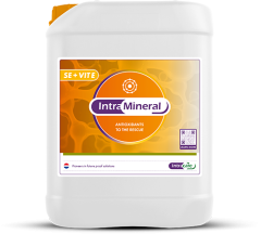 Intra Mineral Selenium + Vit E 5L (GMP+ FSA geborgd)