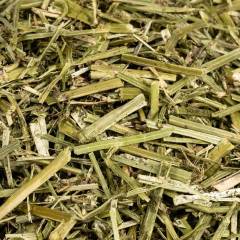 Luzerne mix (GMP + FSA geborgd)