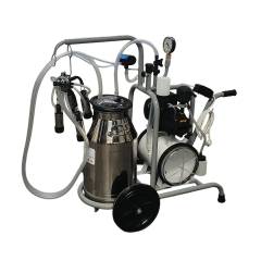 Minimelker koe olie gesmeerd Enkel CT