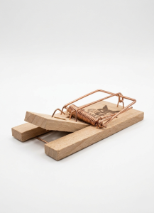 Muizenval Luchs hout