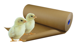 Opfokpapier op rol 70gr/m²