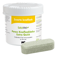 Panax Knoflookbolus EXTRA Quick (GMP + FSA geborgd)