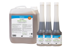 PareSan Calcium (GMP + FSA geborgd)