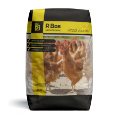 Scharrellegkorrel DD