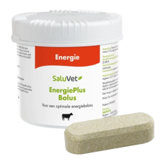 Saluvet EnergiePlus Bolus (GMP+ FSA geborgd)