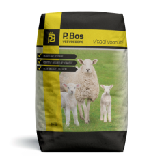 Lammerenkorrel Groei