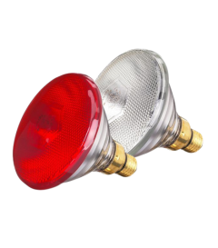 Warmtelamp EB PAR