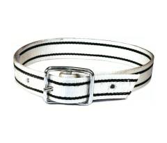 Zeugenriem nylon tonggesp