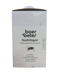 BB Roofvlieg