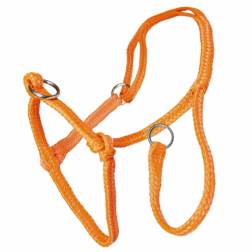 Schuif halster nylon oranje gevlochten