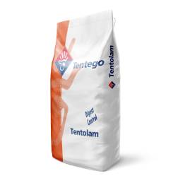 Tentolam super