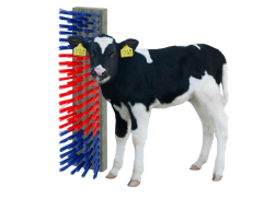 Veeborstel nylon blauw/rood/blauw, los