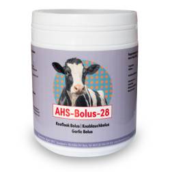 AHS-28 Knoflookbolus (GMP + FSA geborgd)