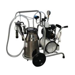 Minimelker koe olie gesmeerd Enkel CT