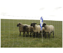 Ako Wolfnet Ovinet Maxi 122 cm x 50 m met dubbele pen