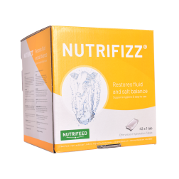 Nutrifizz bruistablet (GMP + FSA geborgd)