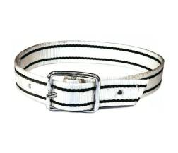 Zeugenriem nylon tonggesp