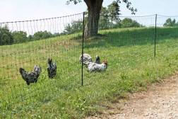 AKO Pluimveenet PoultryNet geleidend