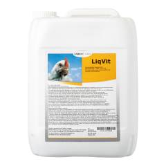 LiqVit 5L (GMP+ FSA geborgd)