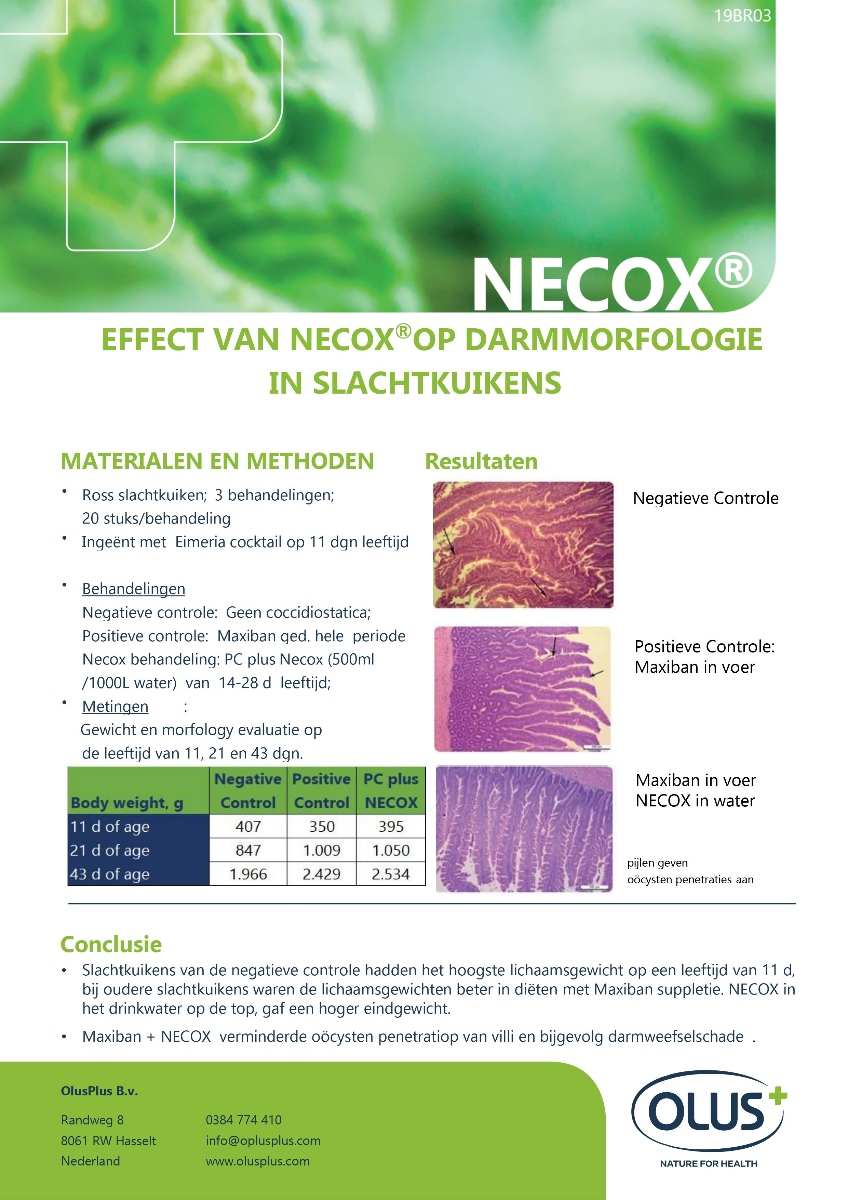 Necox leaflet NL